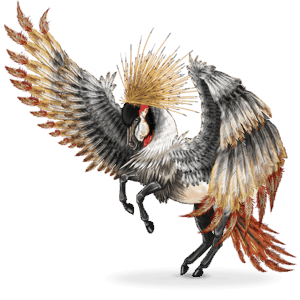 Странстващ кон птица Балеарика