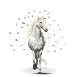 Странстващ кон птица Павос