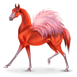 Странстващ кон птица Фенико